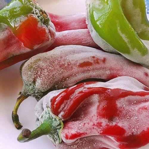 stylish winter capsicum