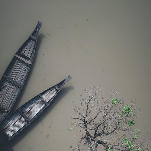 খেয়া ঘাট এর তরি