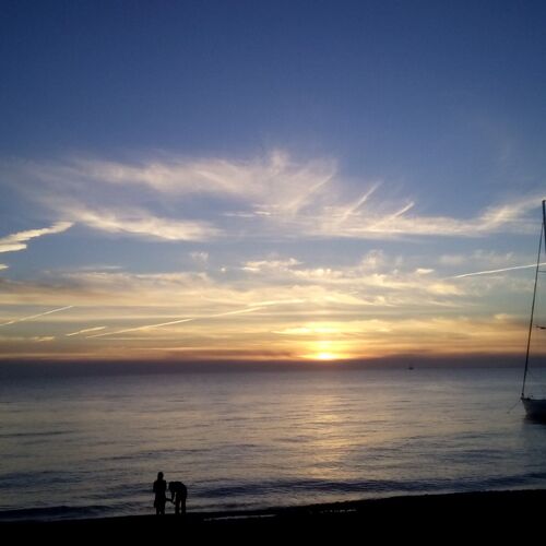 Photo #2481659