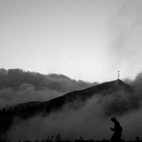 Photo #2481674