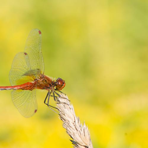 К взлету готов