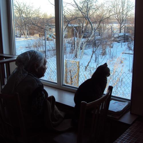 Waiting for warm weather (В ожидании тепла)
