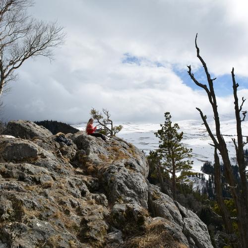 Photo #2482431