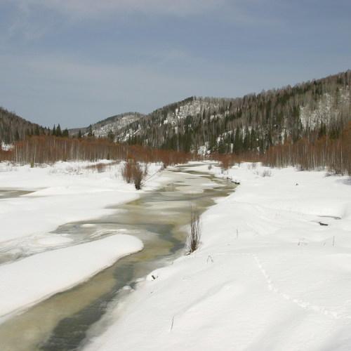 Алтай