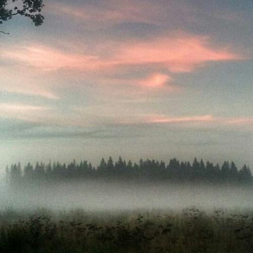Photo #2483152