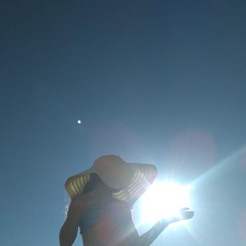 Photo #2483356