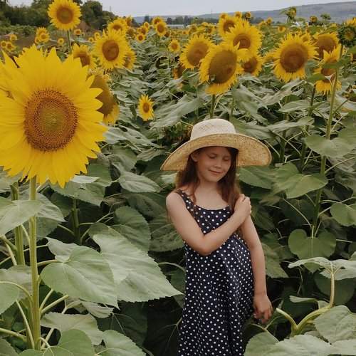 Photo #2483545