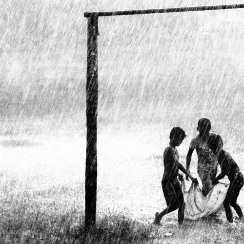 Monsoon Diary