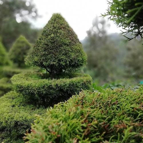 Photo #2484058