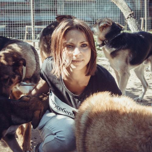 Photo #2485362