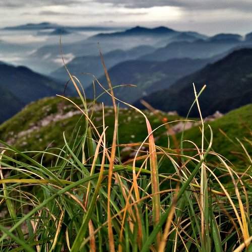 Himalayan Range