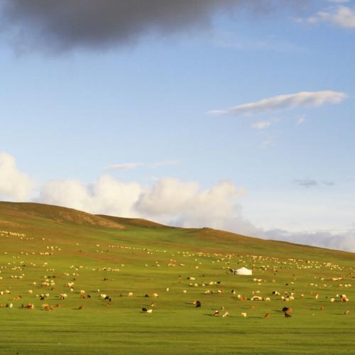 The sunny evening