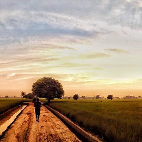 Beauty of Punjab