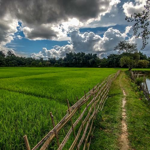 Beauty of my village