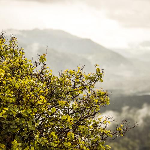 Photo #2488794