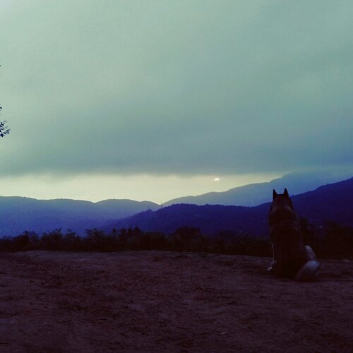 Photo #2489153