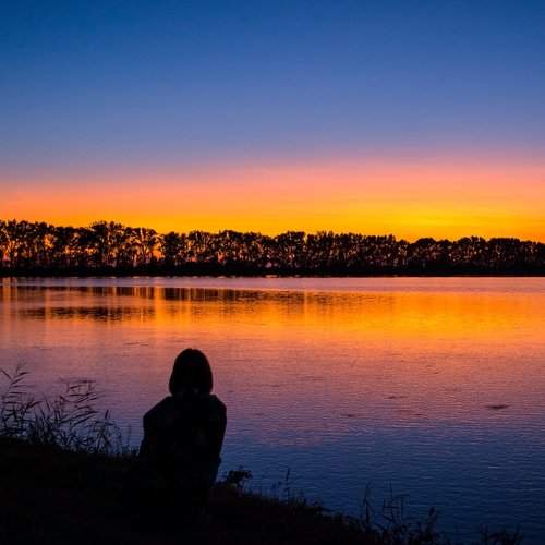 Photo #2490894