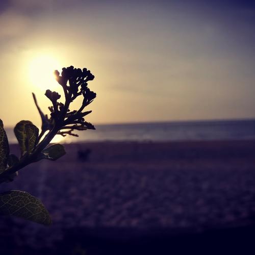 The sun goes down