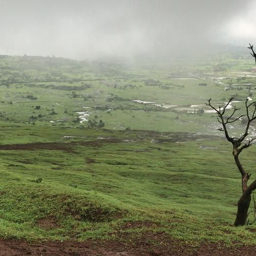 Foggy Landscape