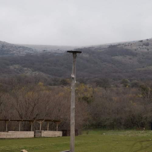 Photo #2492430