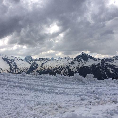 Photo #2494272