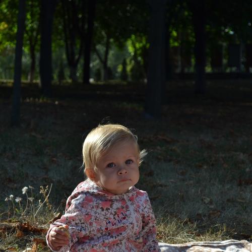 Photo #2494908