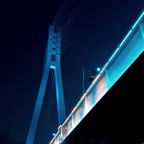 Photo #2495110