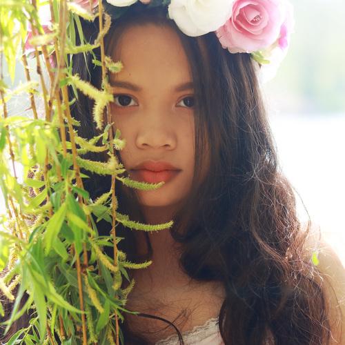 Photo #2495229