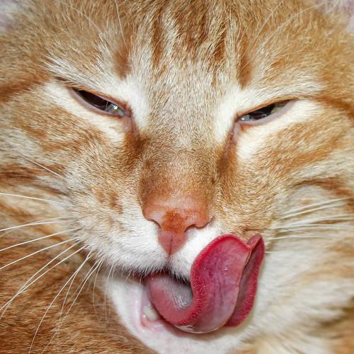 Ну, здравствуй ...