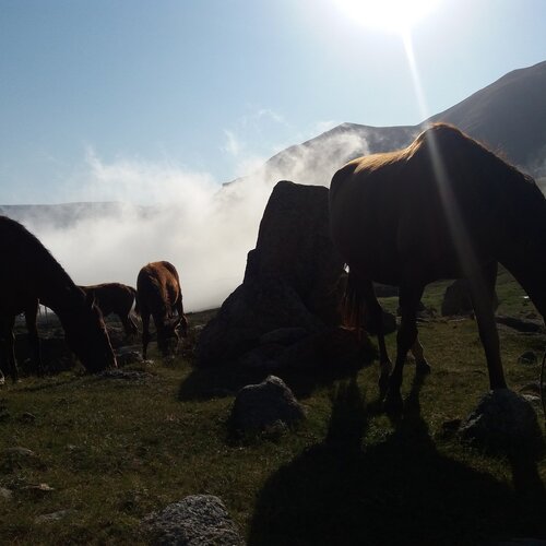 Photo #2495501