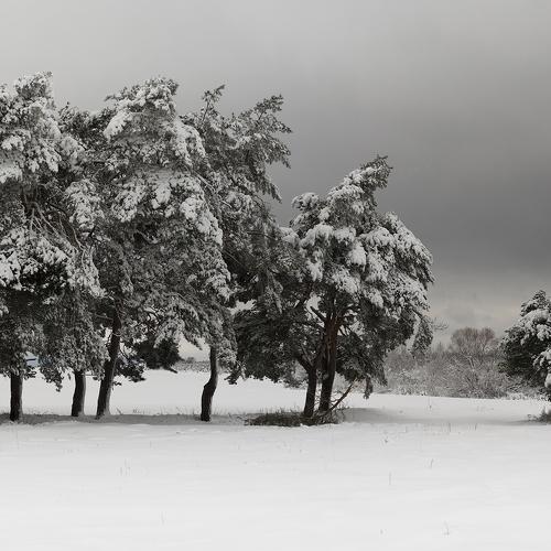 Winter Poetic