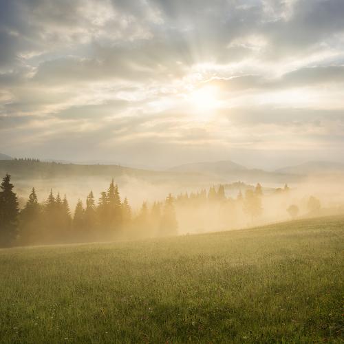 Mystery Dawn