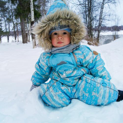Photo #2495949