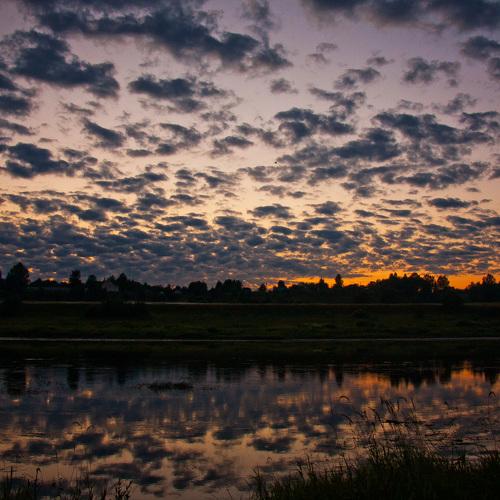 Photo #2497469