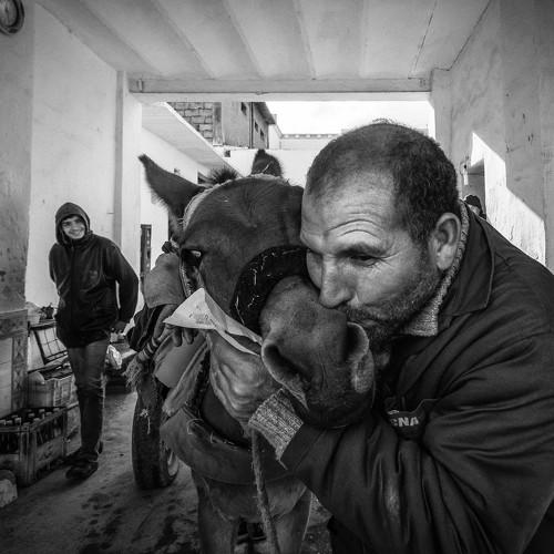 Horse's Man