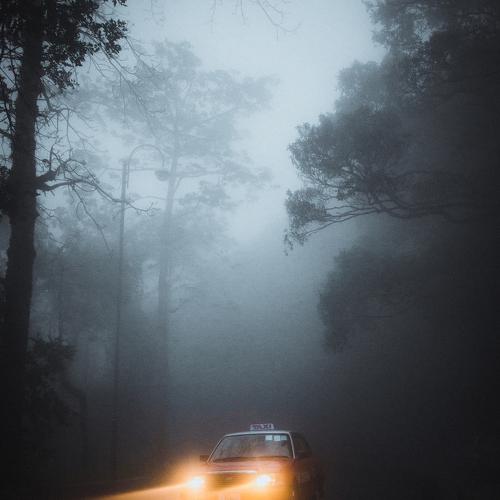 Through the fog
