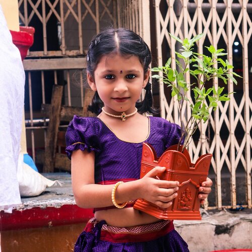 Traditional India
