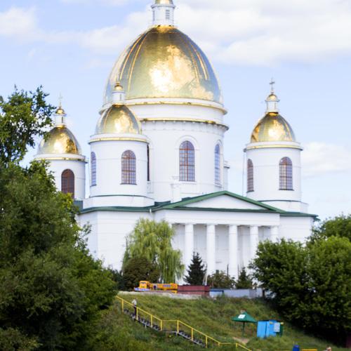Photo #2498651