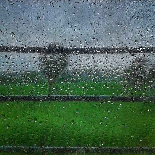 MONSOON LOVE