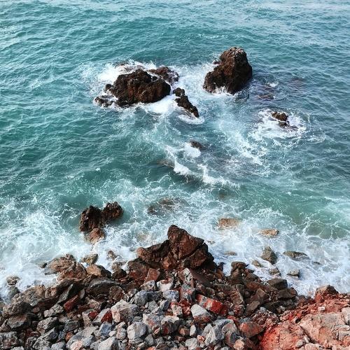 Photo #2499770