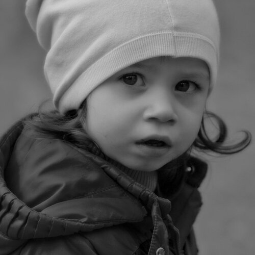 Photo #2499793