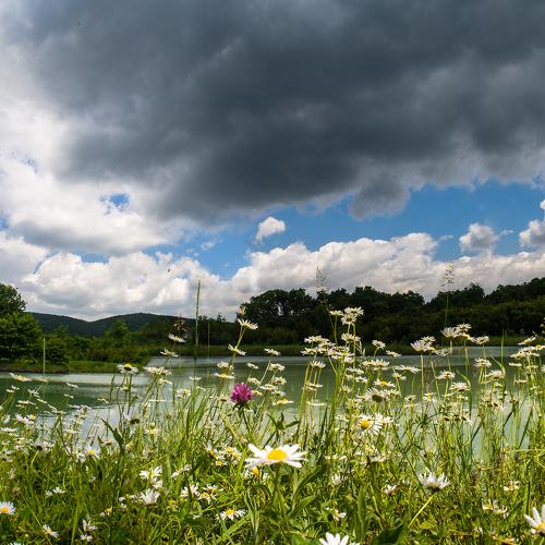 Photo #2499997