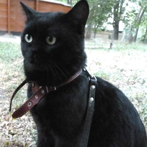 Photo #2500174