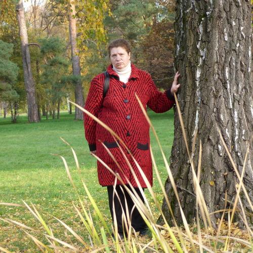 Photo #2500310
