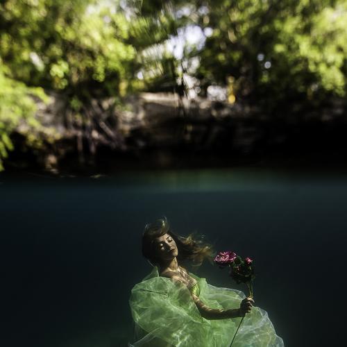 Ninfa