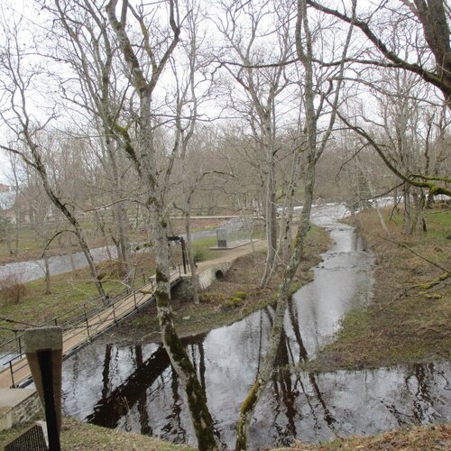 Photo #2500826