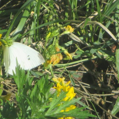 Photo #2501710