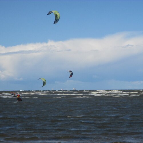 Photo #2501713