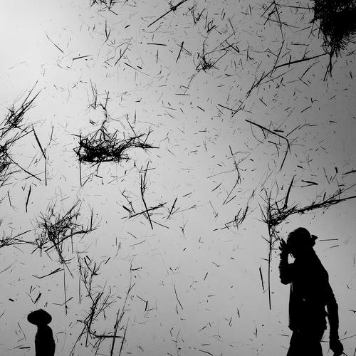 farmer at the rice field