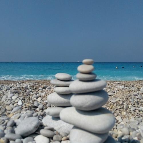Photo #2504300